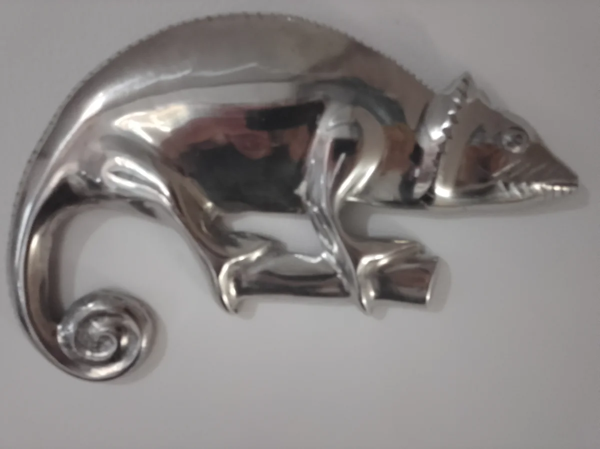 Cameleon en Aluminimium — Tous les produits